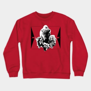 Four Crewneck Sweatshirt